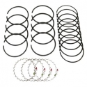 Set segmenti JEEP WRANGLER YJ 2.5L (1987-1995)