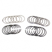 Set segmenti motor 4.0L JEEP CHEROKEE (XJ) 87-95, WRANGLER (YJ) 91-95