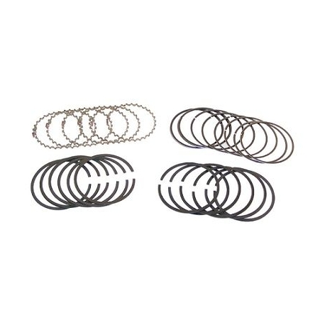 Set segmenti motor 4.0L JEEP CHEROKEE (XJ) 87-95, WRANGLER (YJ) 91-95