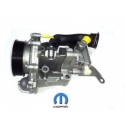 Ansamblu pompa apa si pompa servo JEEP COMPASS & JEEP PATRIOT 2.2 CRD